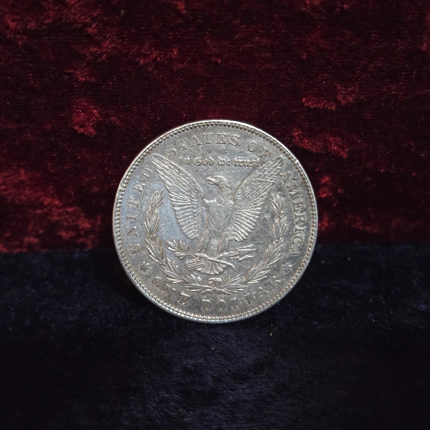 Morgan Dollar 1978 First Year Seven Feather Sharp & Minty 0.77+ozt #0005
