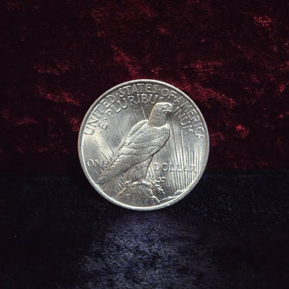 Peace Dollar 1923 Crisp & Shiny 90% Silver 0.77+ Troy Ounce #0004