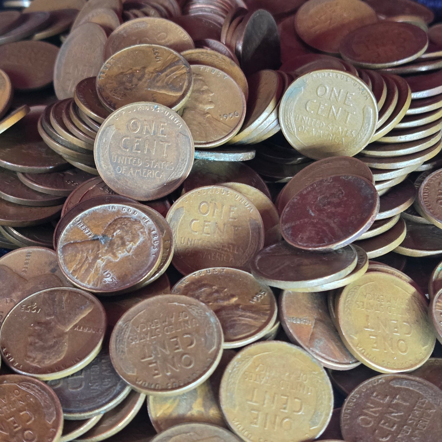 Roll of 50 Lincoln Wheat Ear Pennies