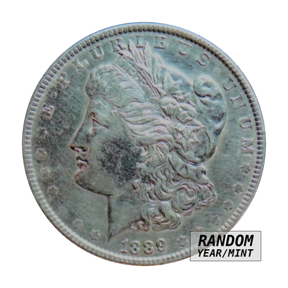 Morgan dollar, 90% silver - Minty, front