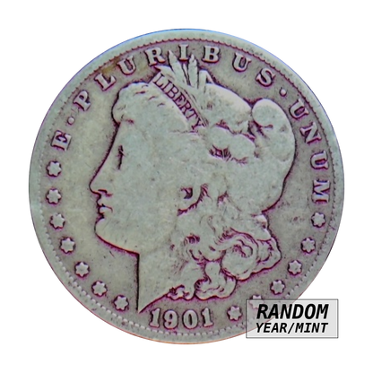 Morgan dollar, 90% silver - Worn, front